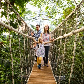 Family crossing wobbly bridge in the Rainforest Biome